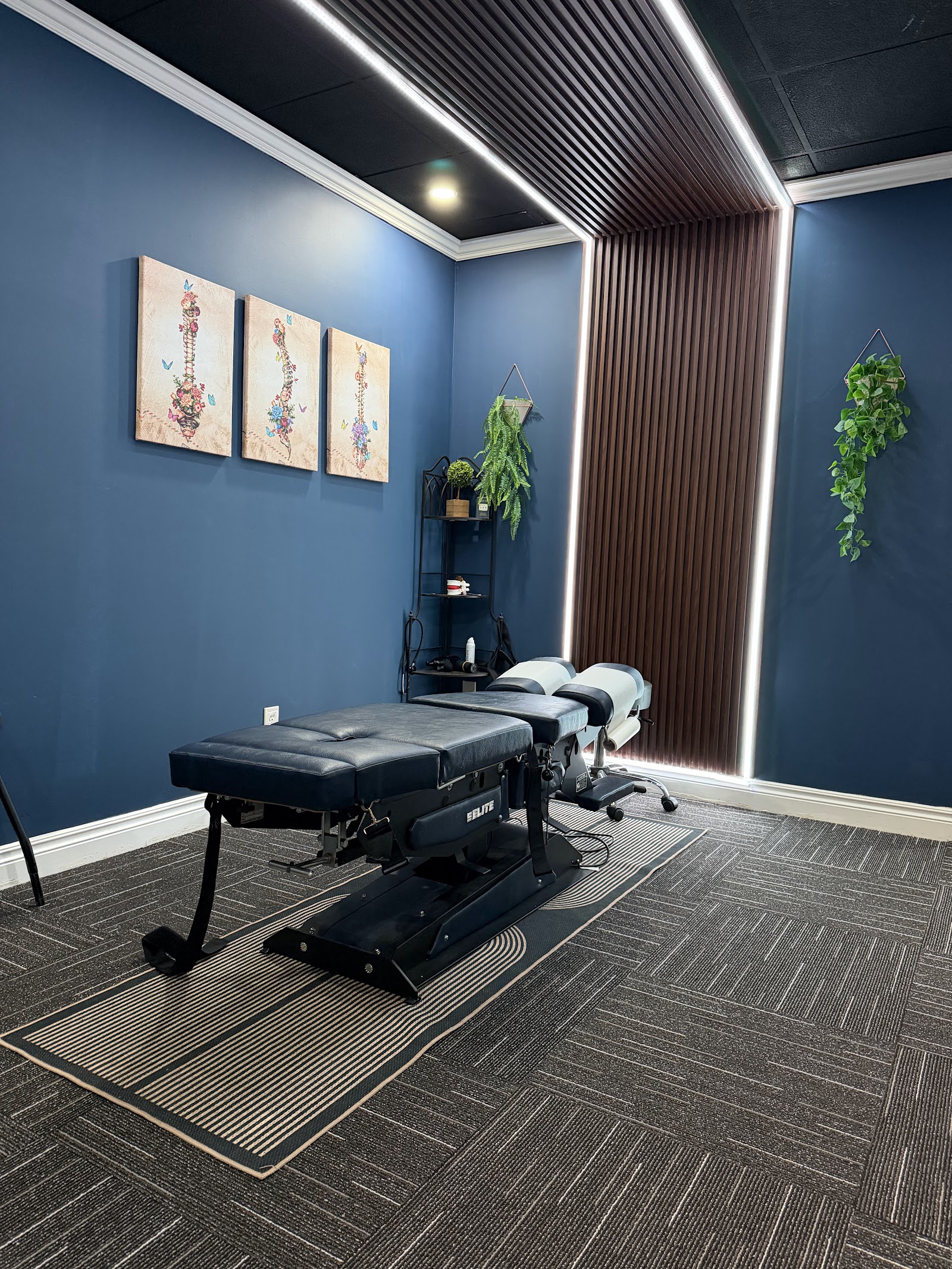 Aligna Chiropractic, PLLC in West Bloomfield Township