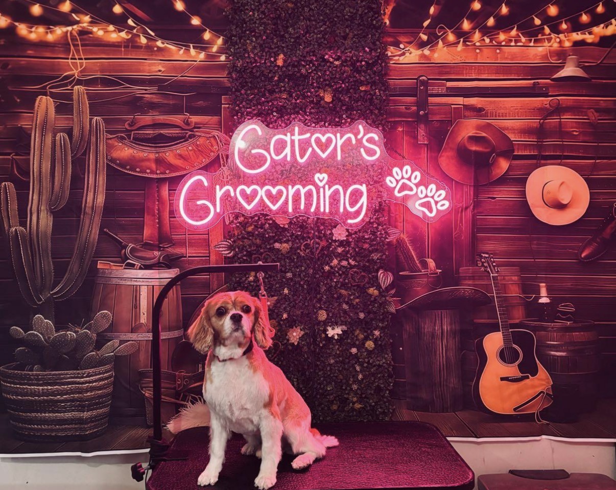 Gator’s Grooming in West Bloomfield Township