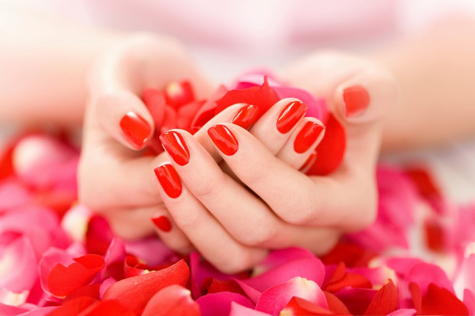 L'AryOla Salon & European Spa in West Bloomfield Township