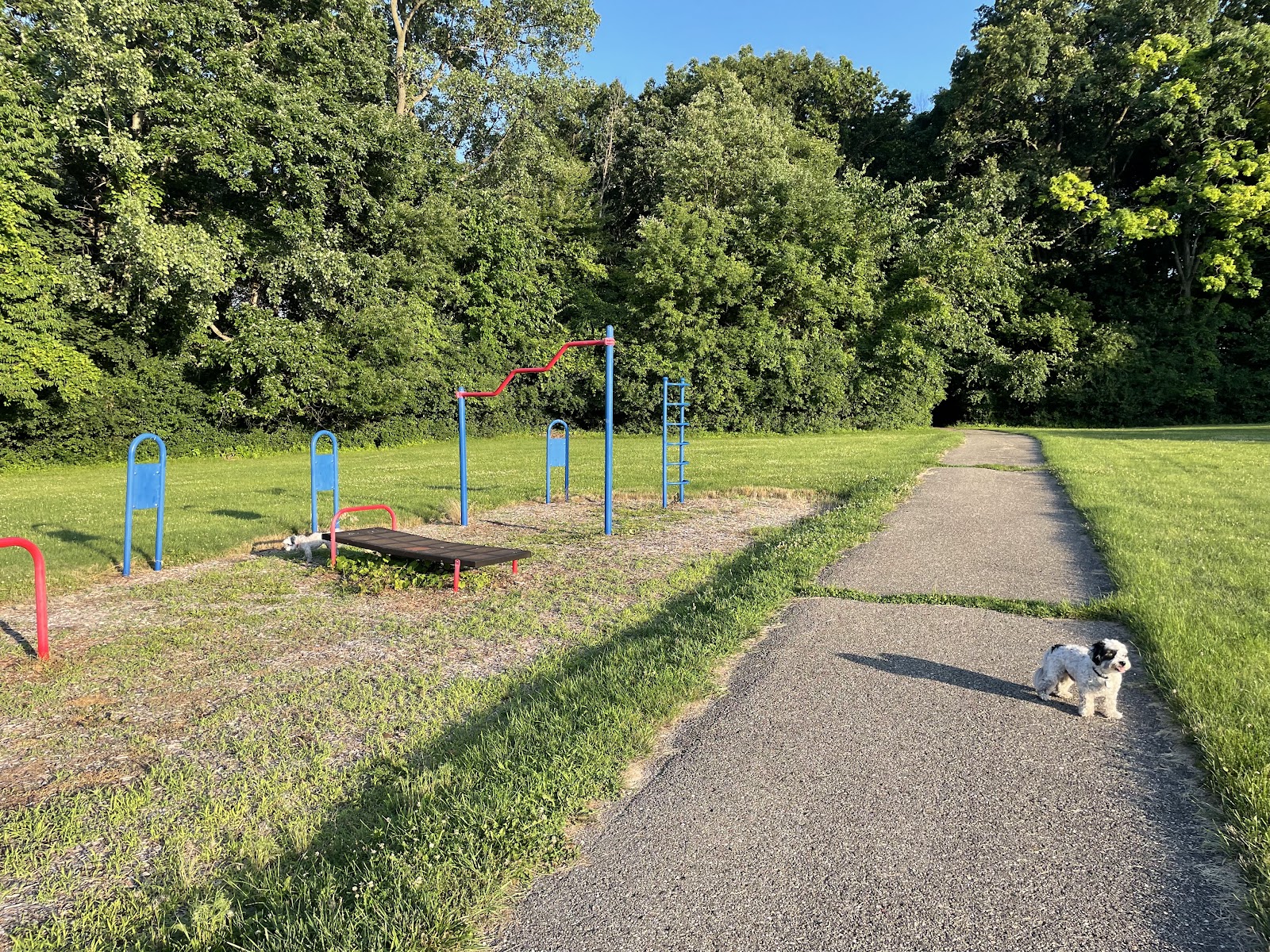 Pine Lake Park