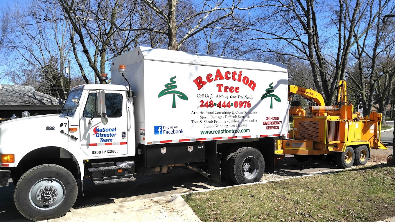 ReAction Tree, LLC — photo