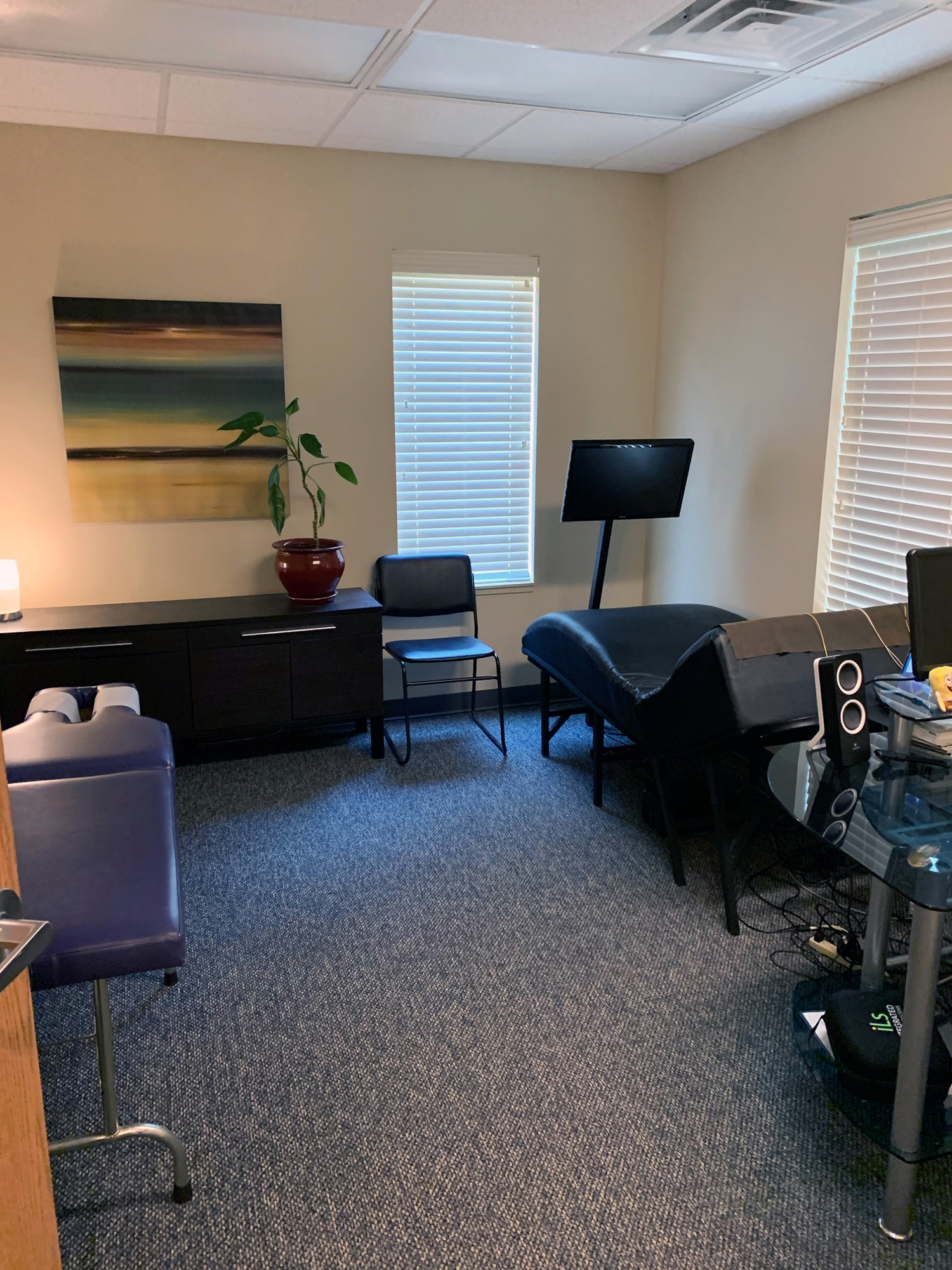 Synergy Chiropractic West Bloomfield in West Bloomfield Township